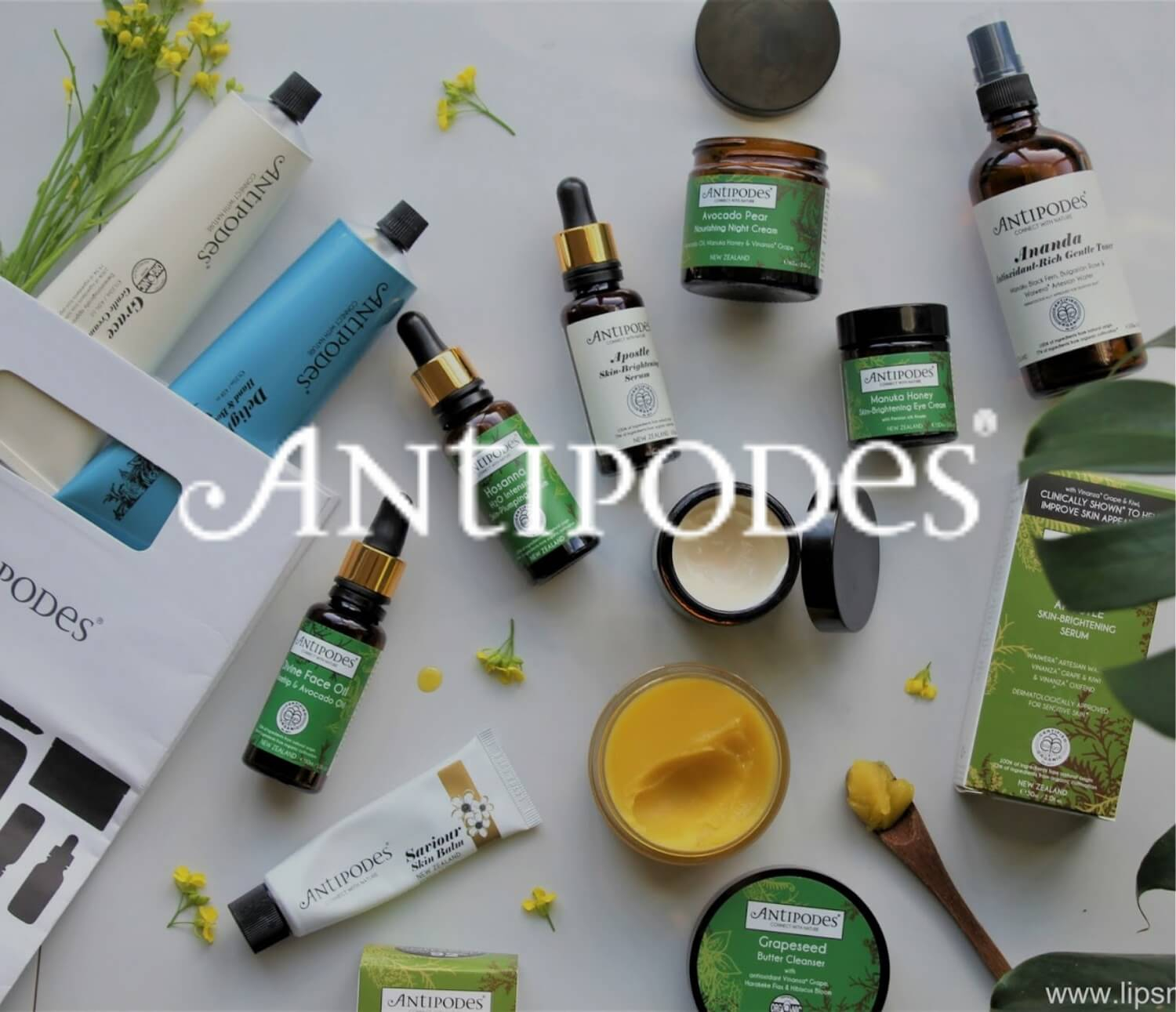 Antipodes
